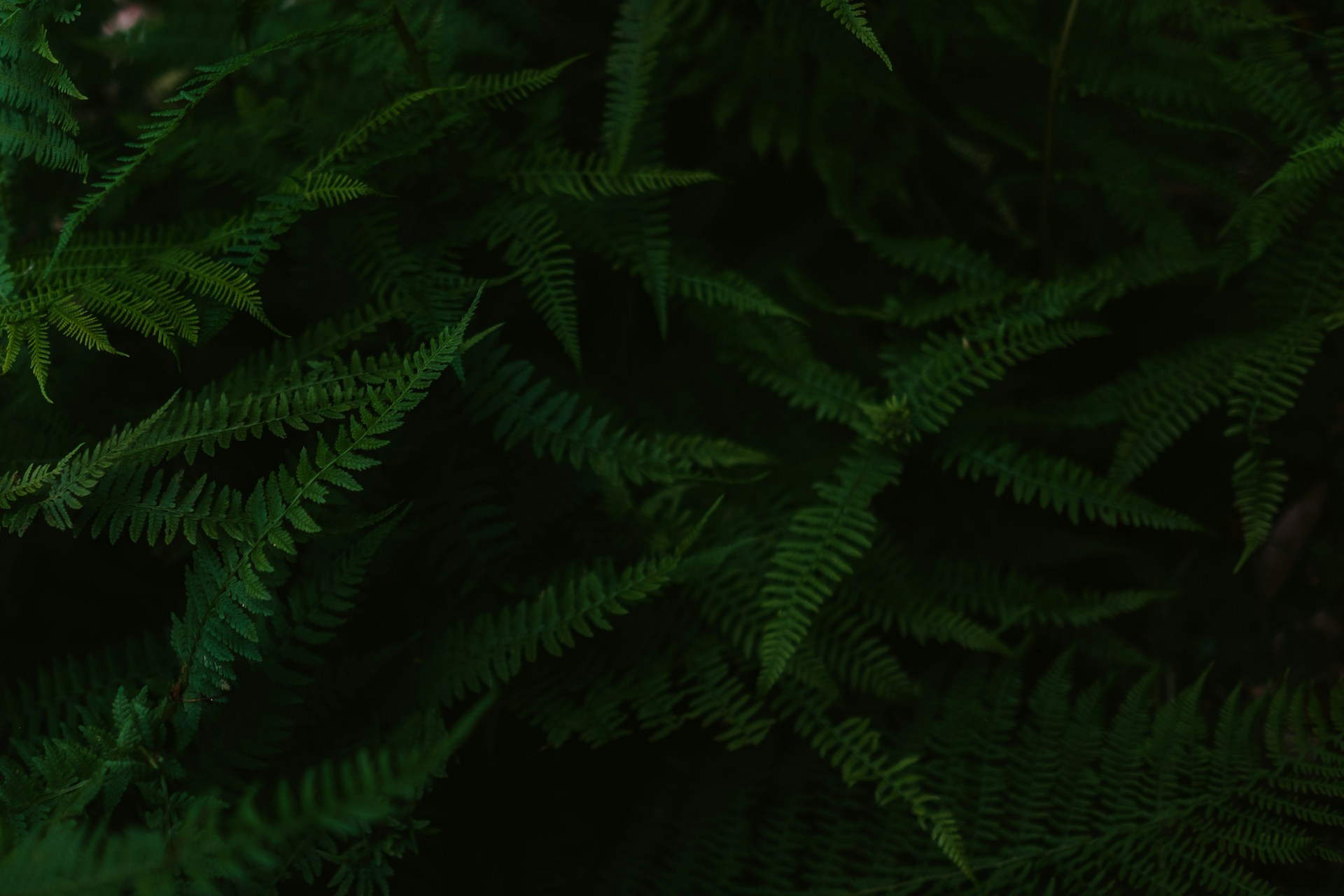 Image default