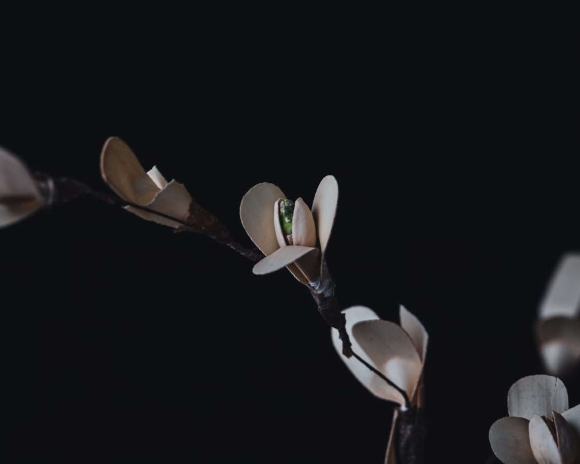 The-importance-of-hiring-a-professional-tax-preparer