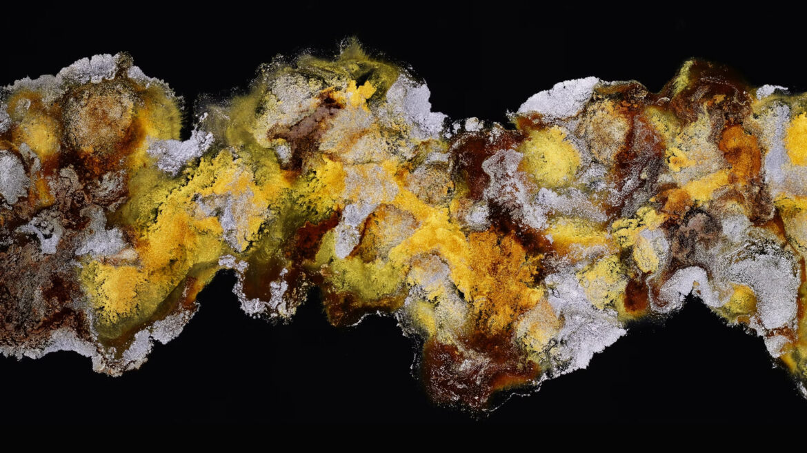 The-Role-of-Data-Analysis-in-Marketing-Strategies