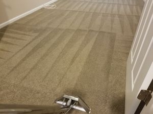 The-Ultimate-Guide-for-carpet-cleaning-and-maintaining-your-carpet-investment-1