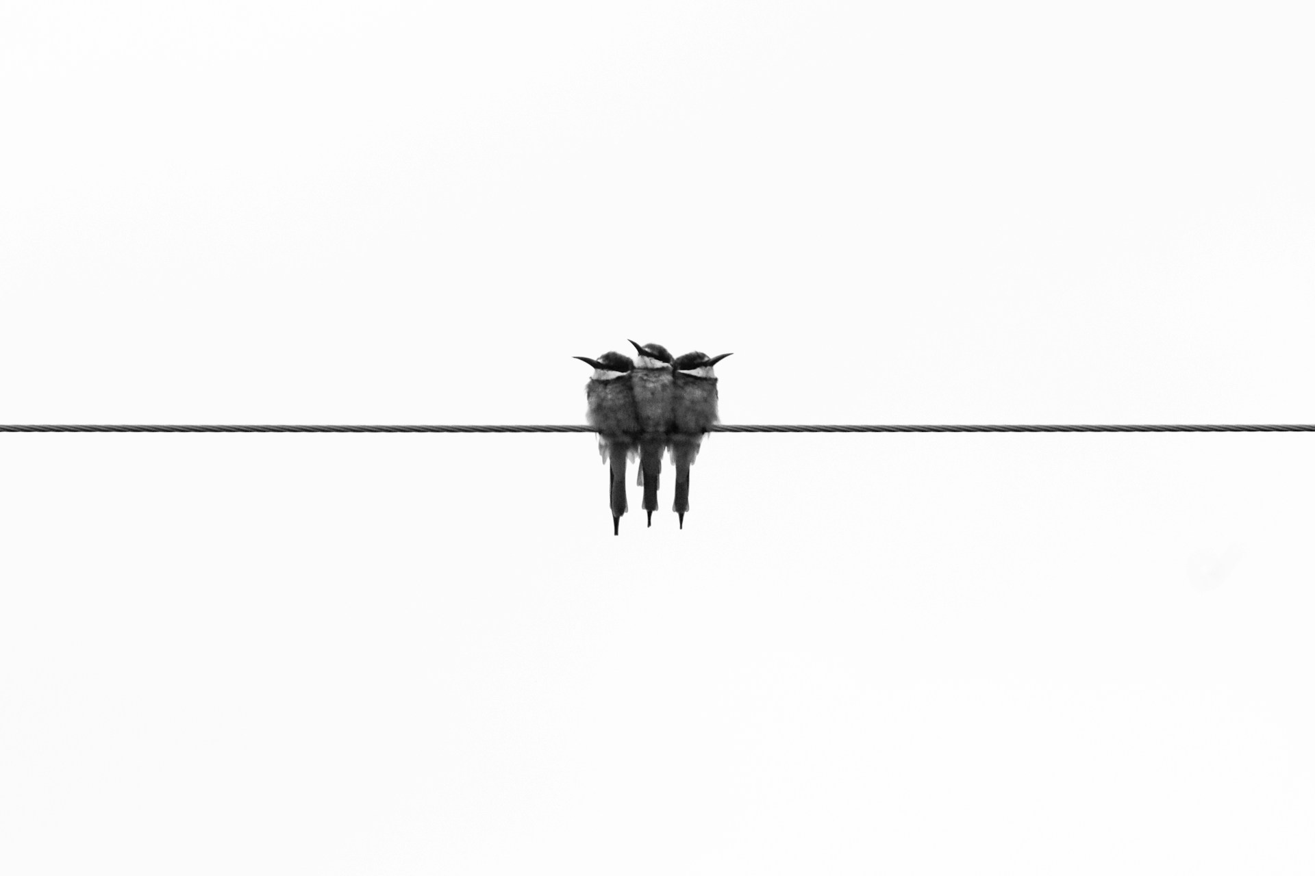 Image default
