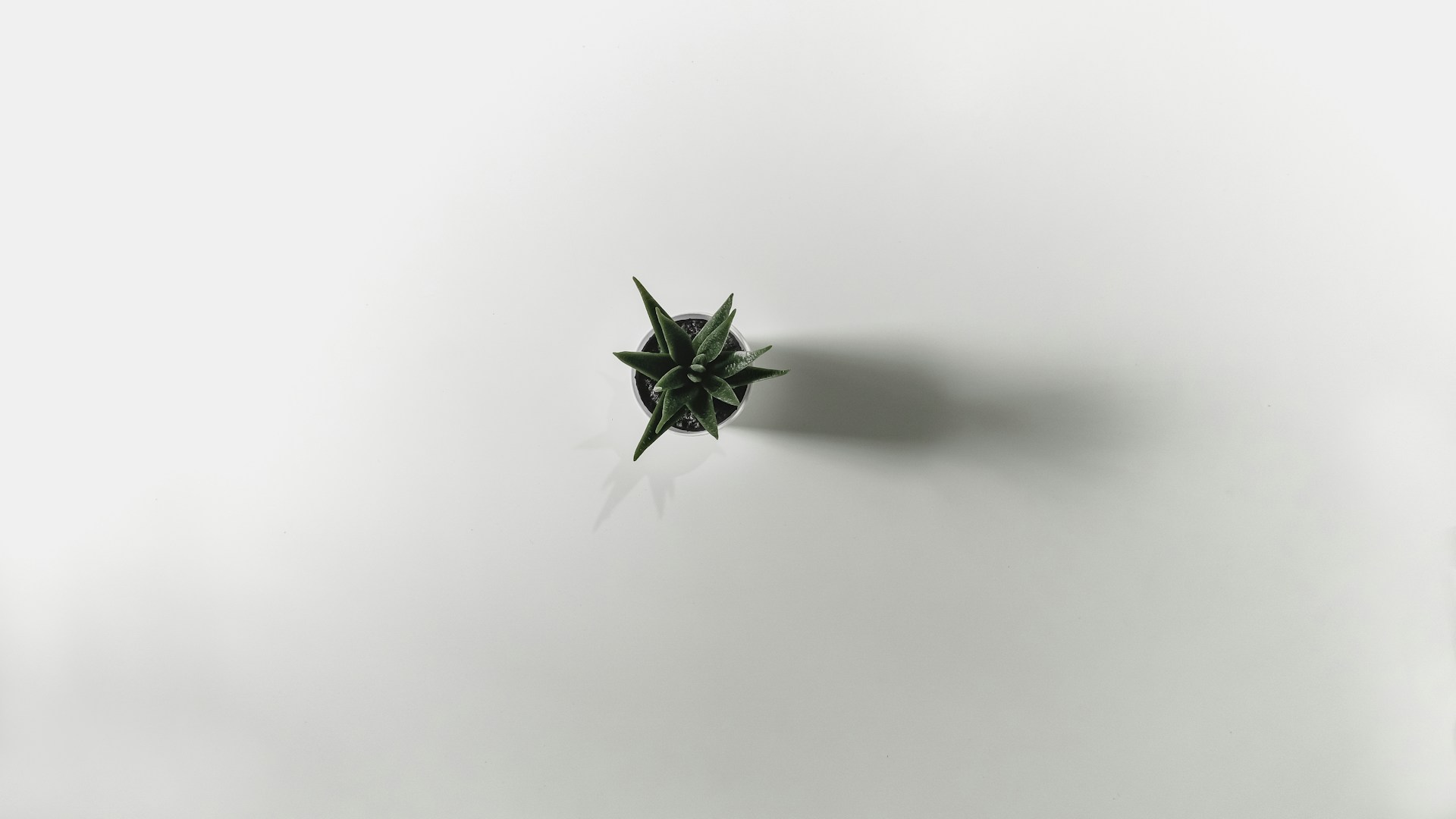 Image default