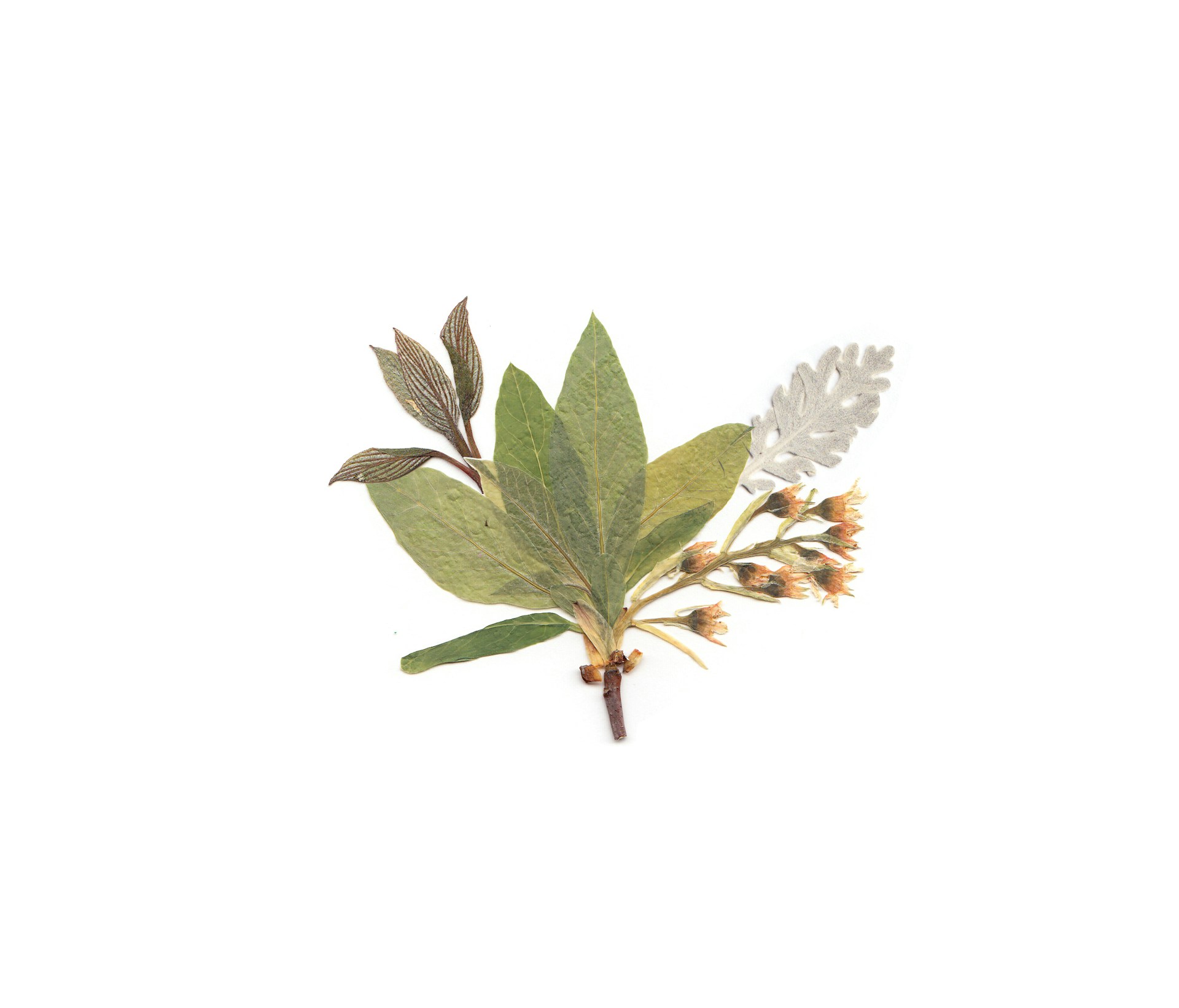 Image default