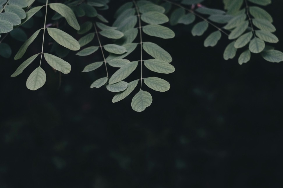 Image default