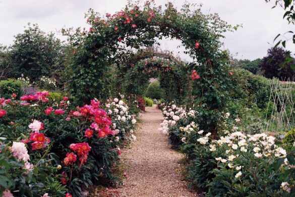 How-to-design-a-beautiful-backyard-garden