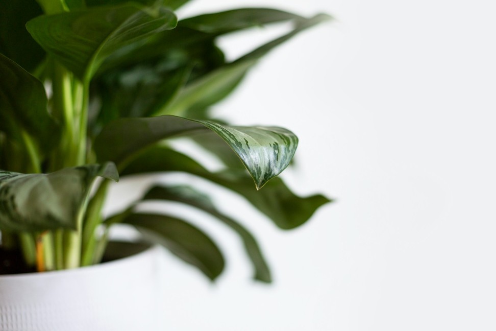 Crafted-with-Care-Mahzads-Unique-Wearable-Pieces