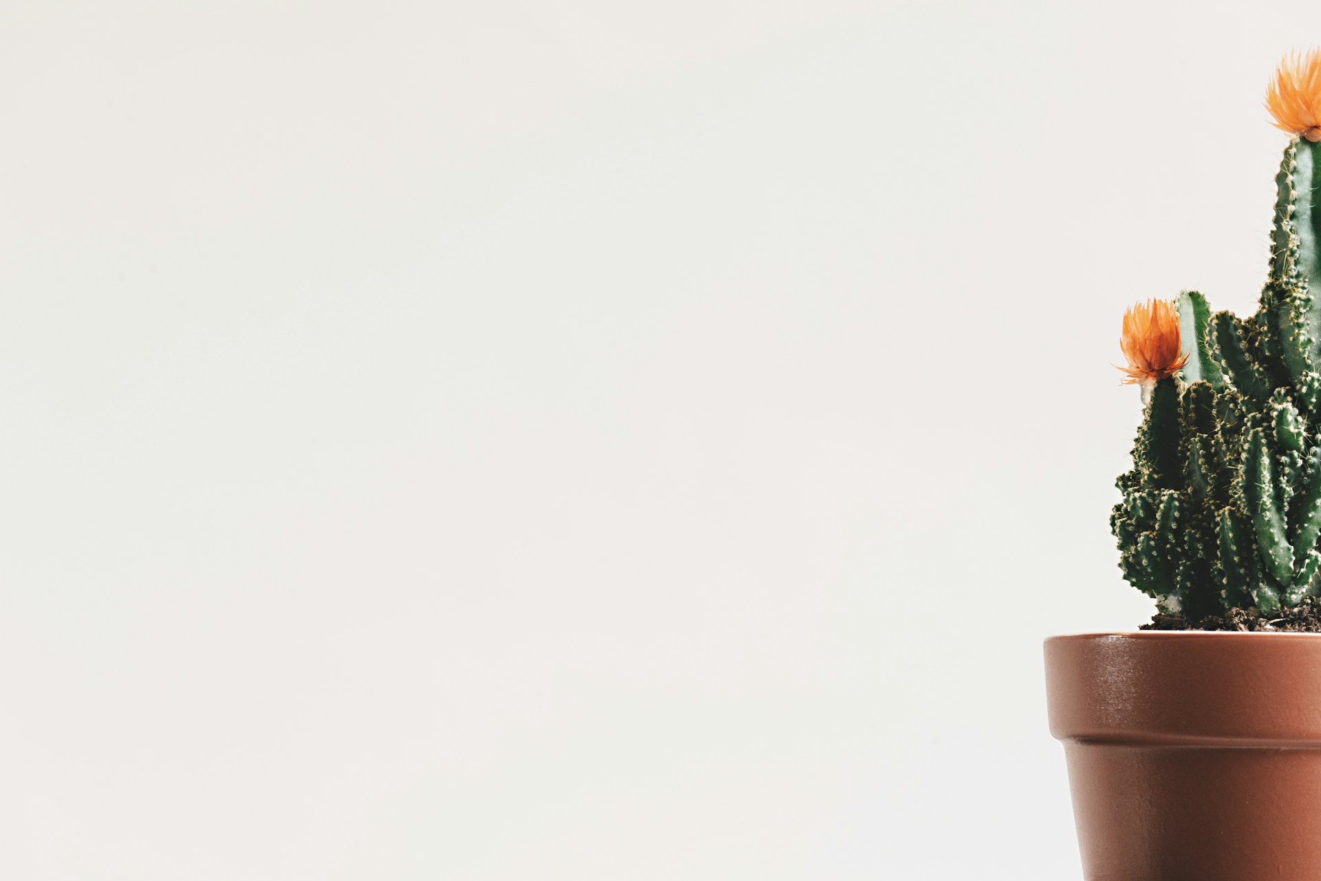 Tips-for-Choosing-the-Right-Styling-Products-for-Your-Hair-Type