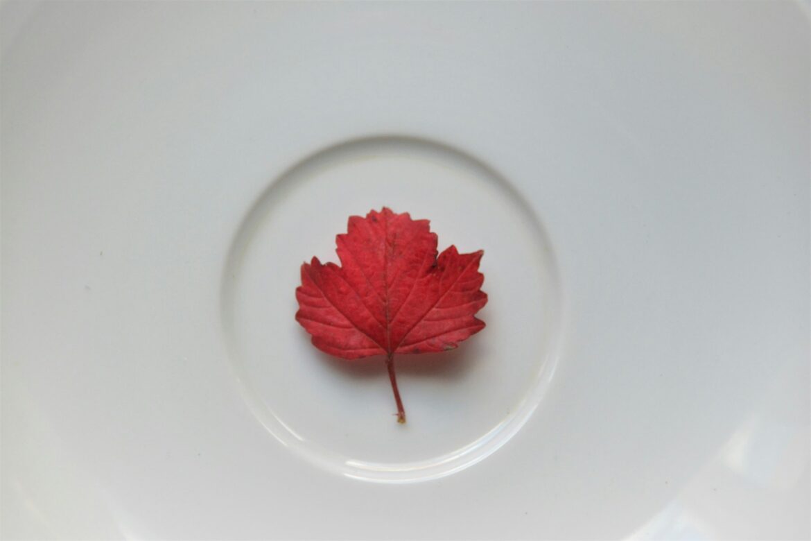 Why-chemical-peels-are-a-popular-skincare-treatment