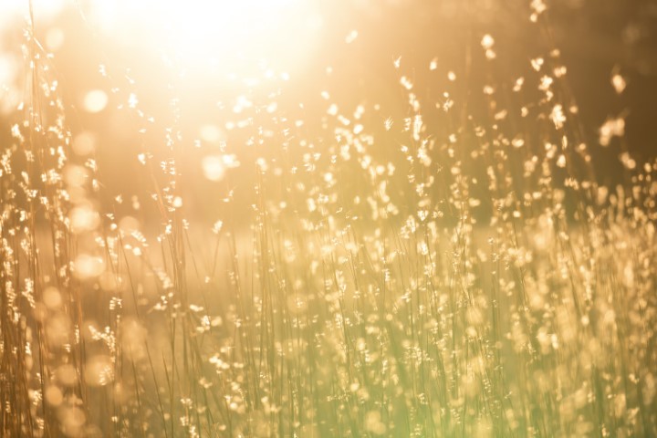 5-Reasons-Why-Orca-IPTV-is-the-Best-Choice-for-Streaming