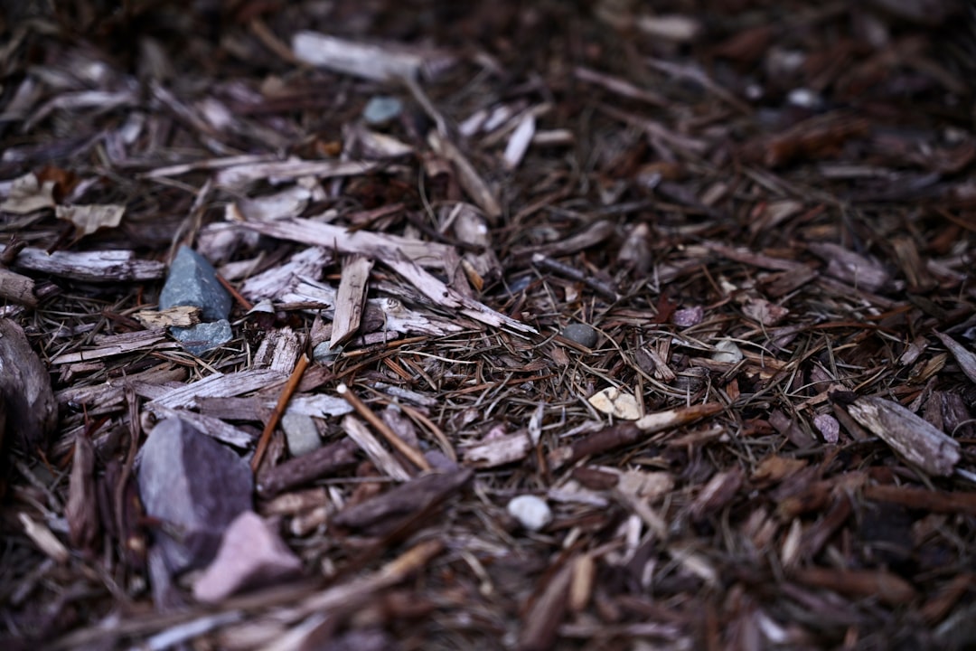 Green Tire Group: Your Source for Sustainable Rubber Mulch