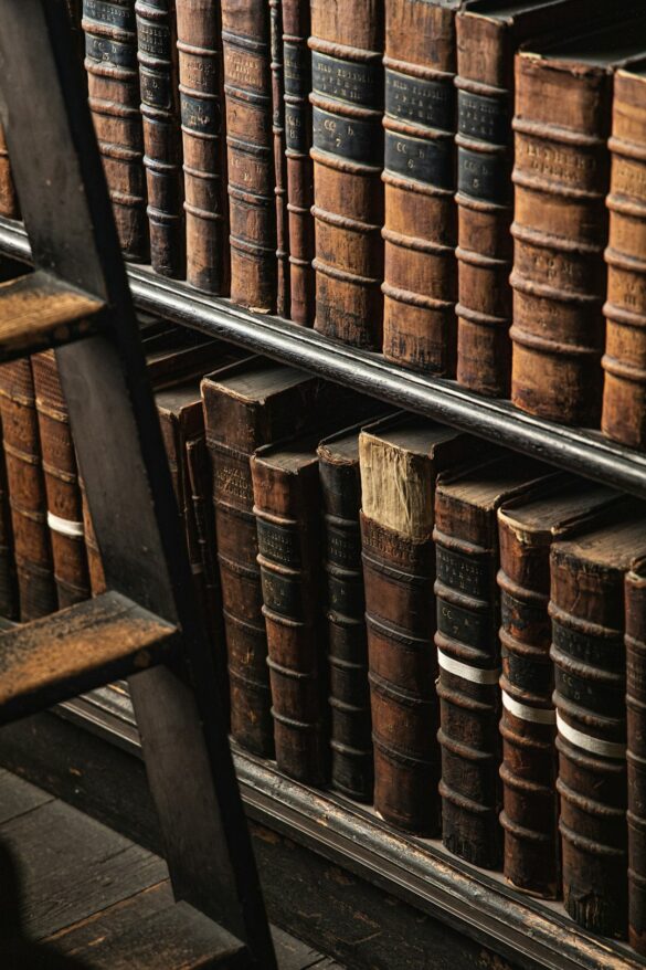 The-role-of-a-family-law-attorney-in-divorce-proceedings