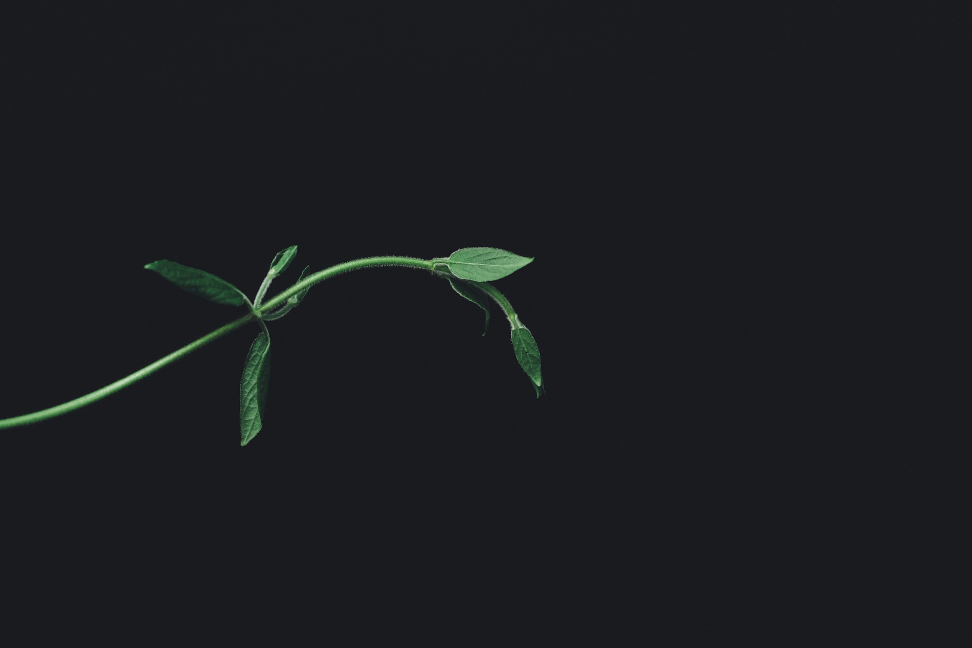 Image default