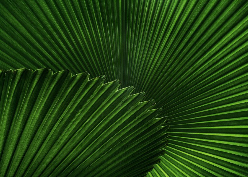 Image default