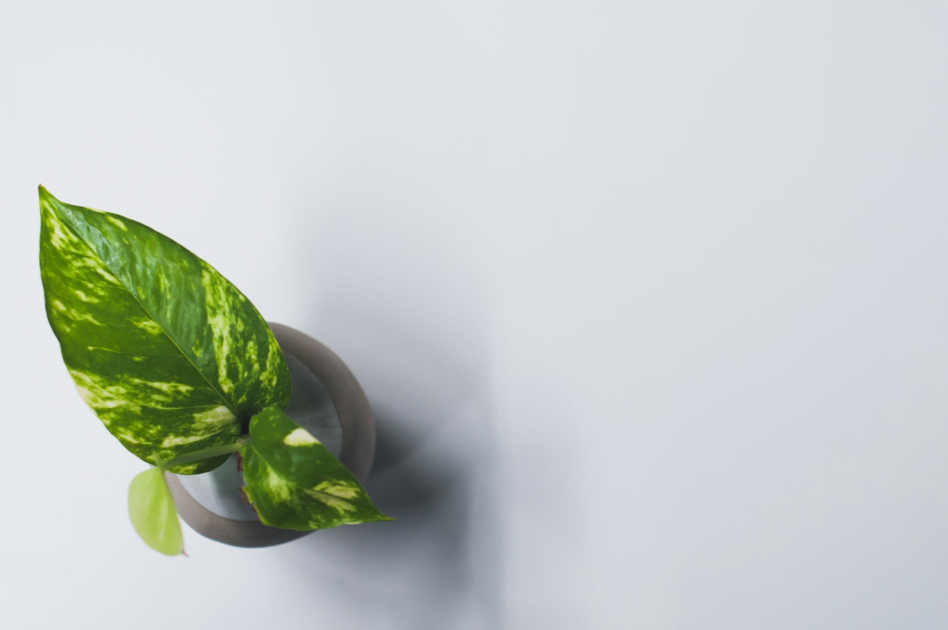 Discover Affordable Appliance Options in Orangeville