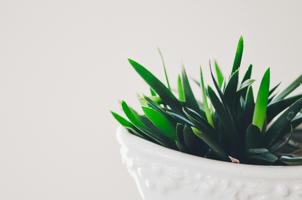Building a Strong Cyber Security Culture in Your Business