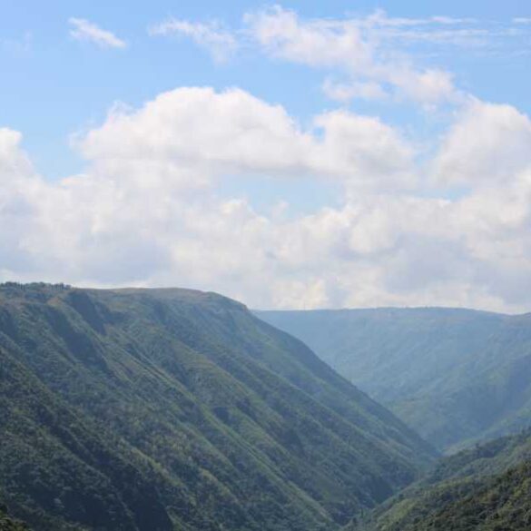 The Top 10 Benefits of Handmade Soap for Your Skin Trending Topics Post