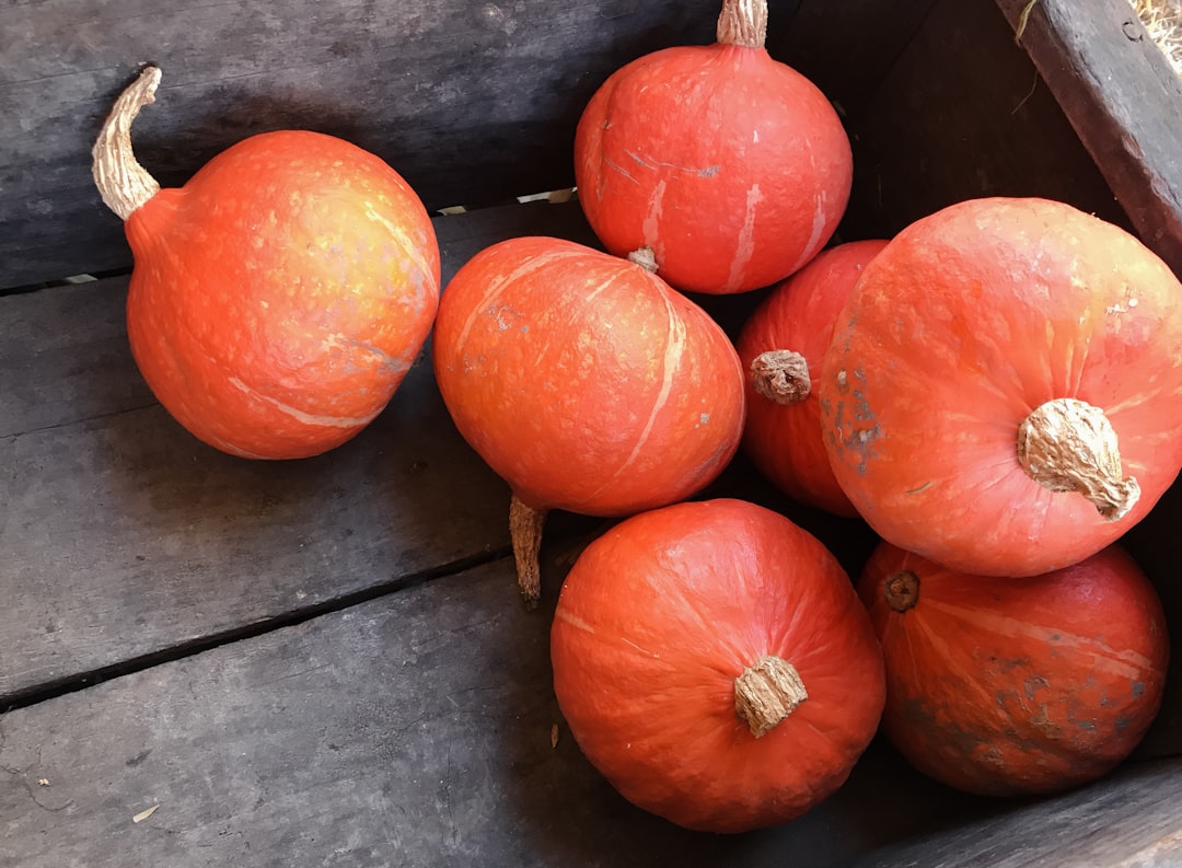 Refresh Your Skin with a Pumpkin Peel Treatment in El Cajon