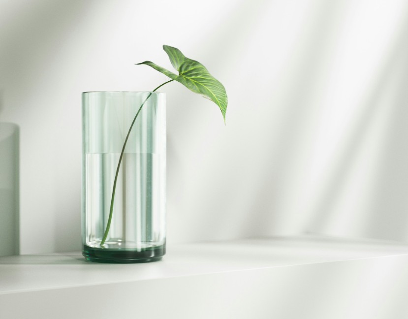 Connecting Your Domain to Your Website: Trends to Watch