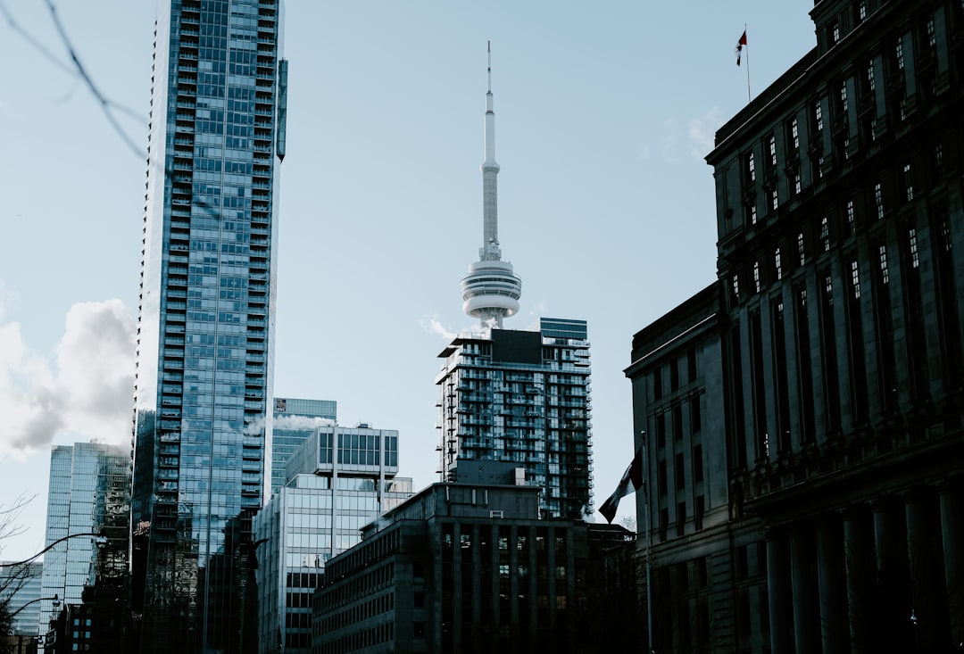 Maximize Productivity with Business Organization Services in Toronto