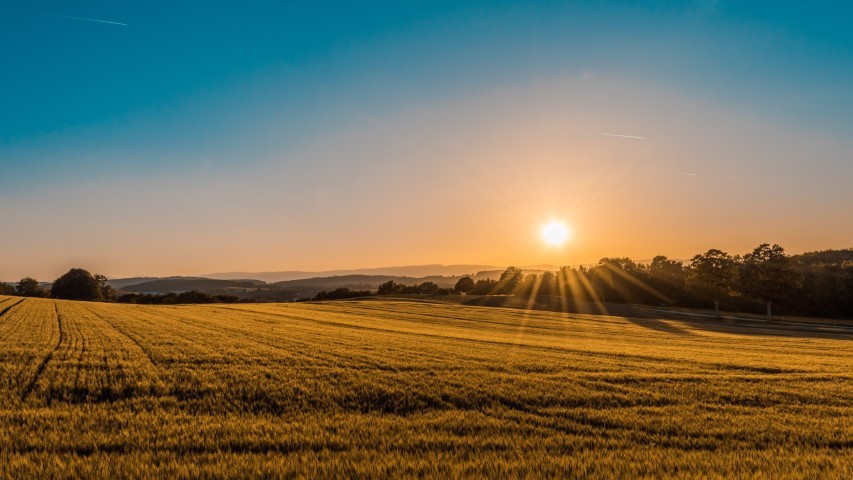 Top Benefits of Connecting Your Domain to Your Website